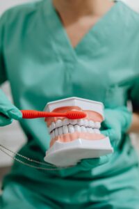 A dental professional wearing green scrubs and gloves demonstrates proper toothbrushing technique using a large red toothbrush and a set of oversized model teeth.